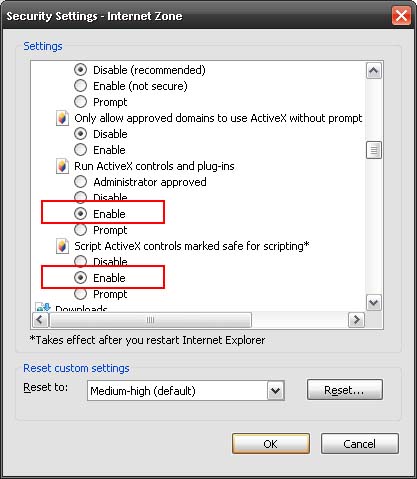 Does Google Chrome Support Activex Controls
